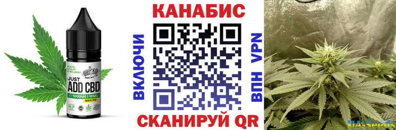 Купить где Касимов Canna-Cookies конопля